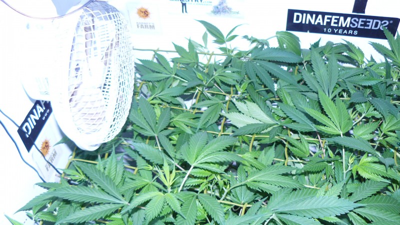 drobes 10 03 22 006