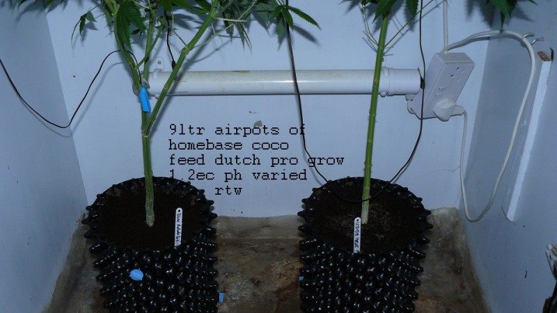 drobes 10 03 22 009