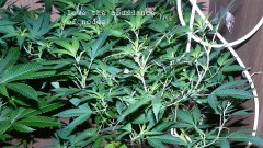 drobes 10 03 22 019