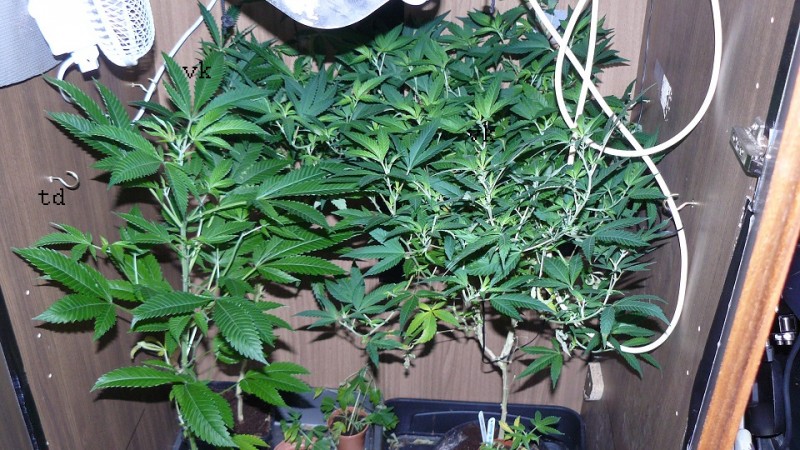 drobes 10 03 22 021