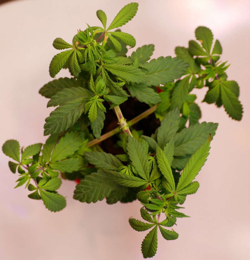P1020231
