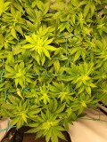 IMG_20220315_182245_530