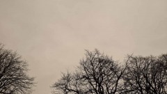 20220316_143314a
