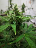 IMG_20220317_205530
