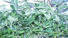 drobes 18 03 22 006