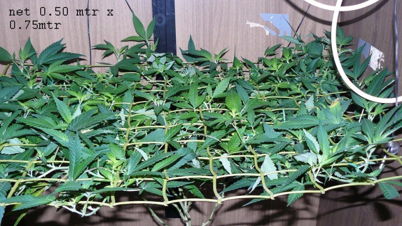 drobes 18 03 22 014