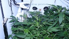 drobes 21 03 22 002