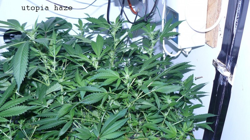 drobes 21 03 22 003