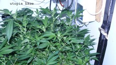 drobes 21 03 22 003