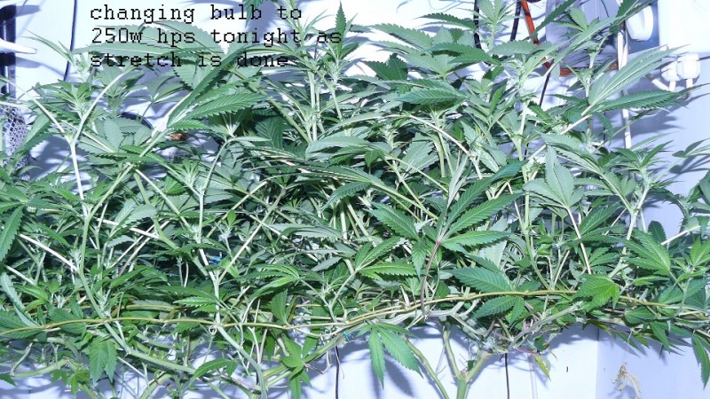 drobes 21 03 22 005
