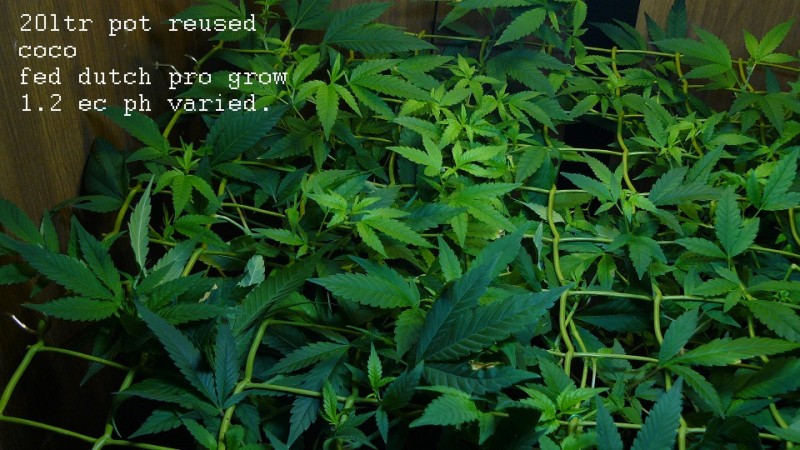 drobes 21 03 22 011