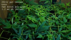 drobes 21 03 22 011