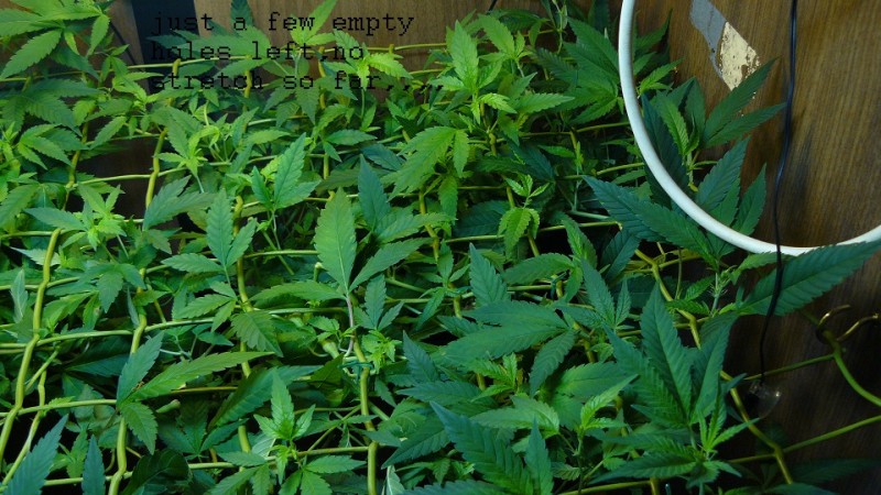 drobes 21 03 22 013