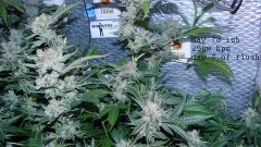 drobes 21 03 22 035
