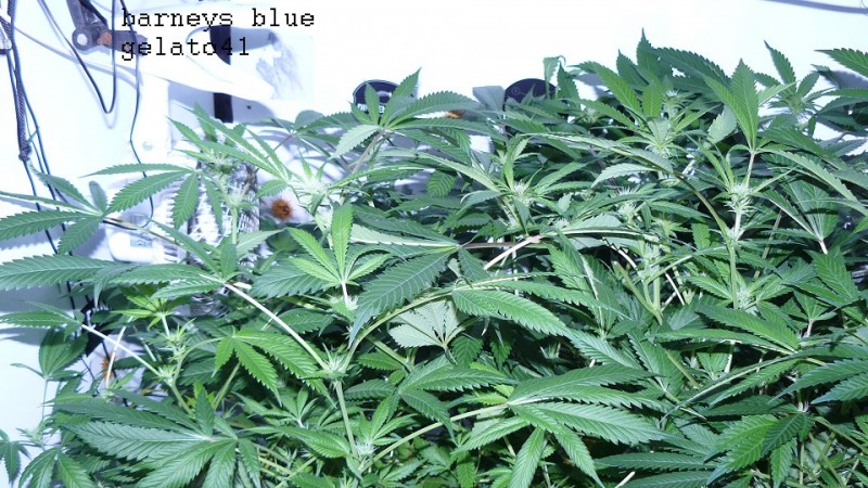drobes 23 3 22 001