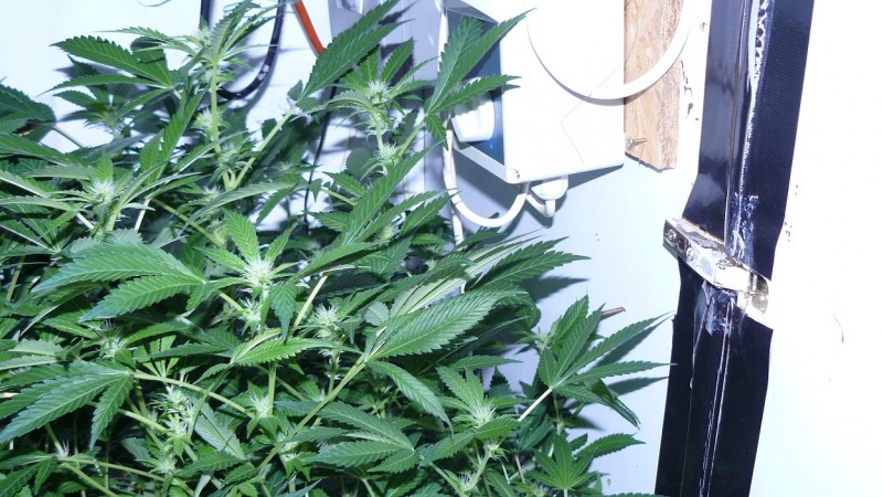 drobes 23 3 22 003