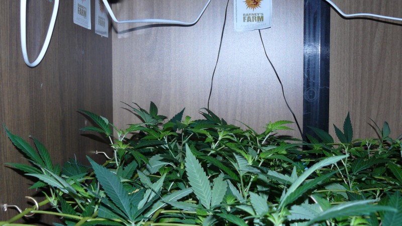 drobes 23 3 22 021