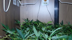drobes 23 3 22 021