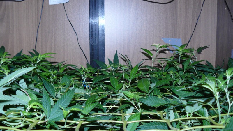 drobes 23 3 22 022