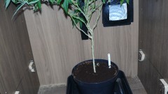 drobes 23 3 22 024