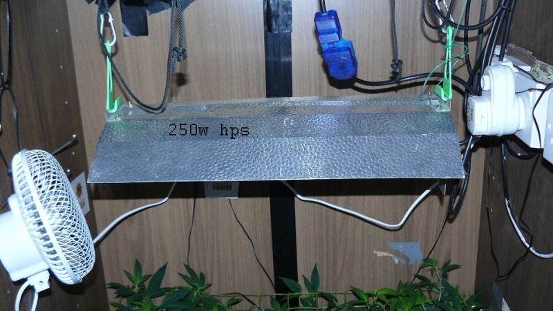 drobes 23 3 22 026