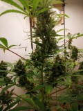 IMG_20220326_223537
