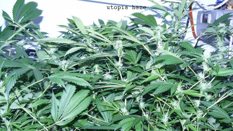 drobes 27 3 22 030