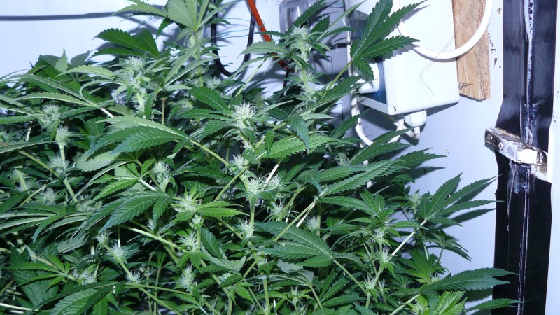drobes 27 3 22 031