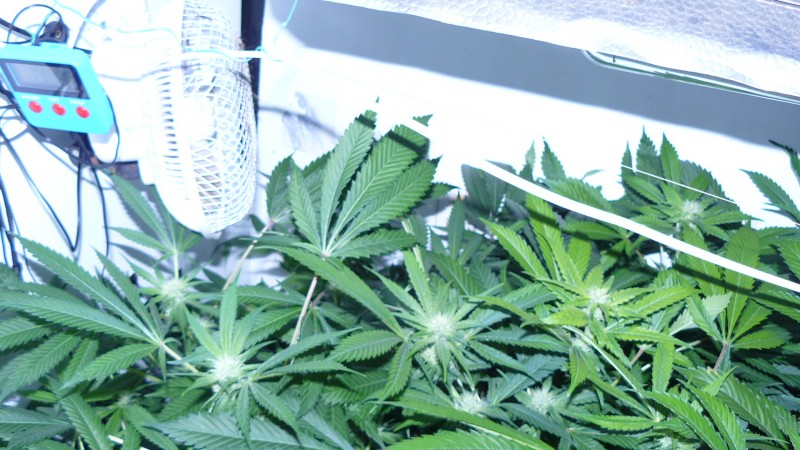 drobes 27 3 22 034