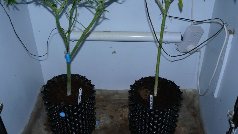drobes 31 3 22 016