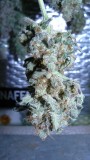 drobes 31 3 22 029