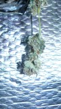 drobes 31 3 22 034