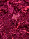 PXL_20220403_062449781