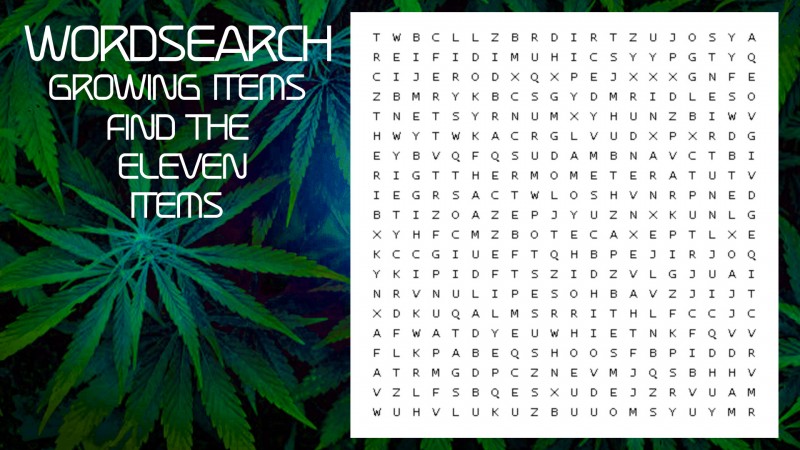 mn 420 month word search items
