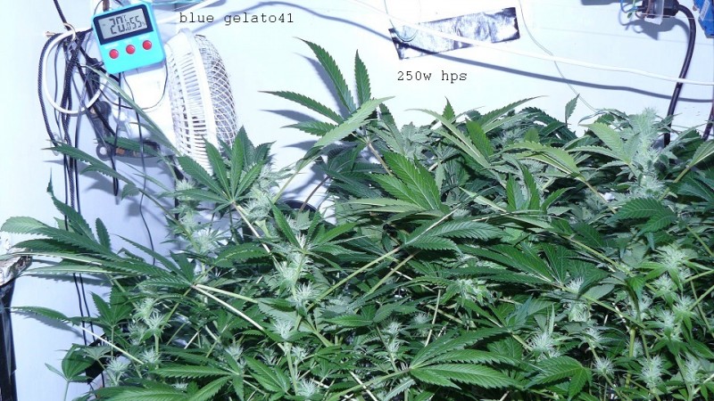 drobes 03 04 22 002