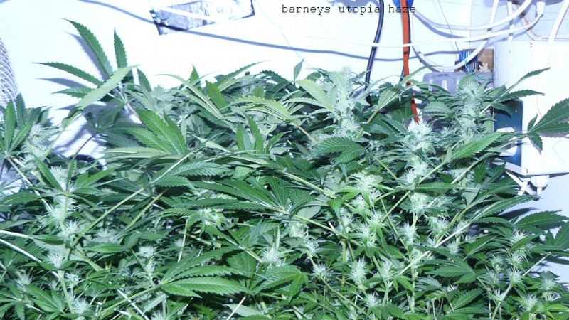 drobes 03 04 22 003