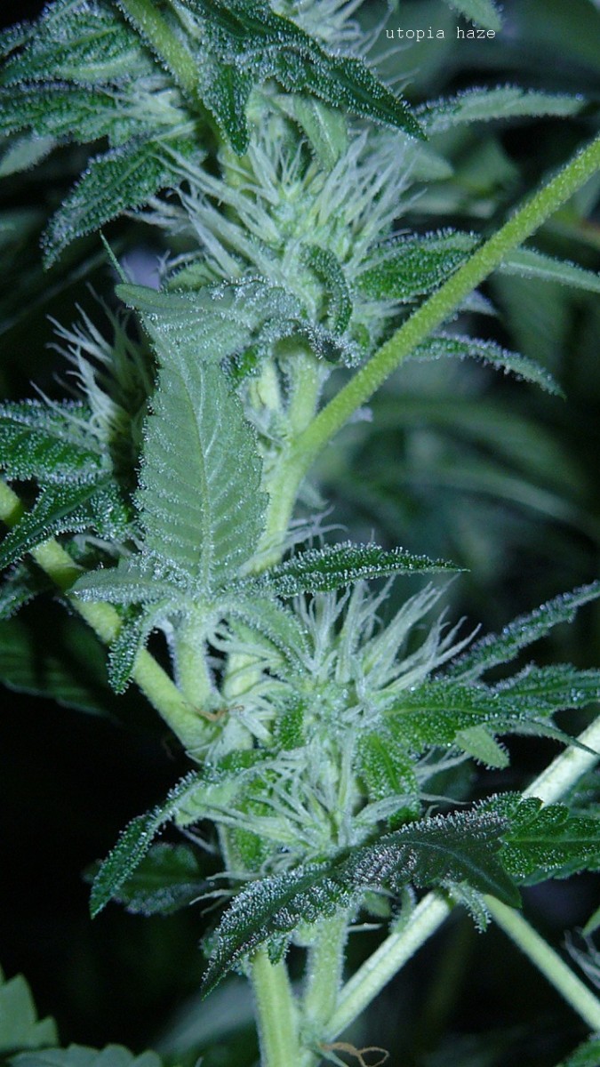 drobes 03 04 22 017