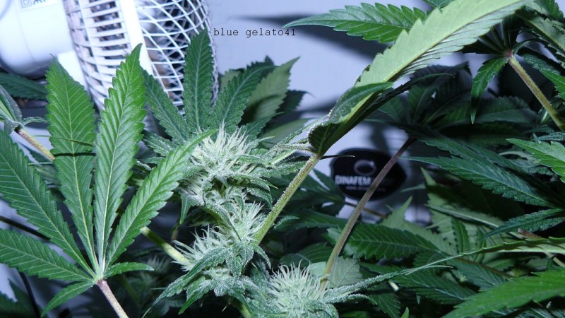 drobes 03 04 22 021
