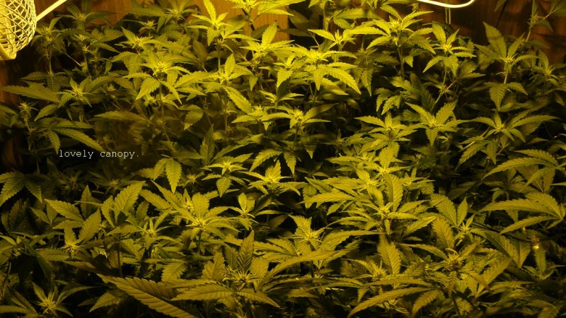 drobes 03 04 22 027