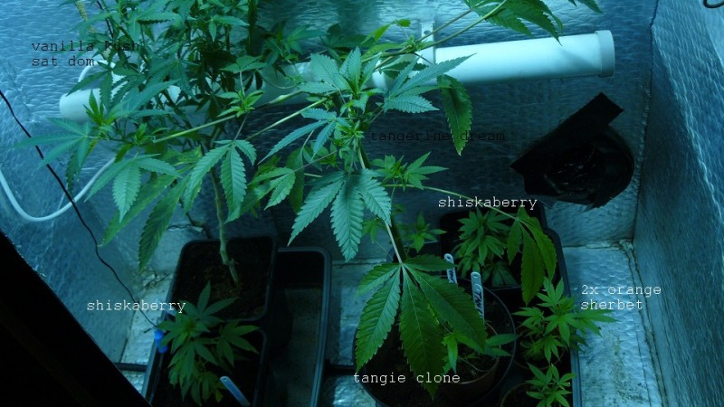 drobes 03 04 22 031