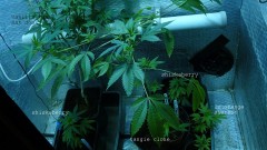 drobes 03 04 22 031