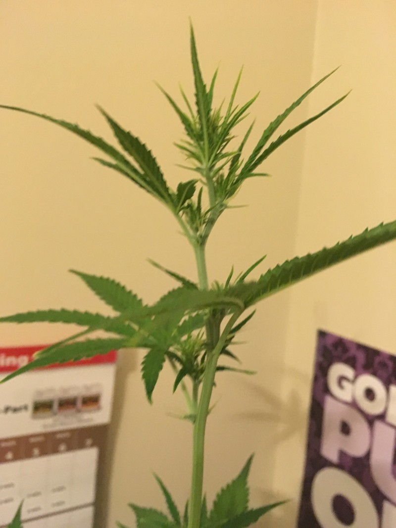 jan22 020