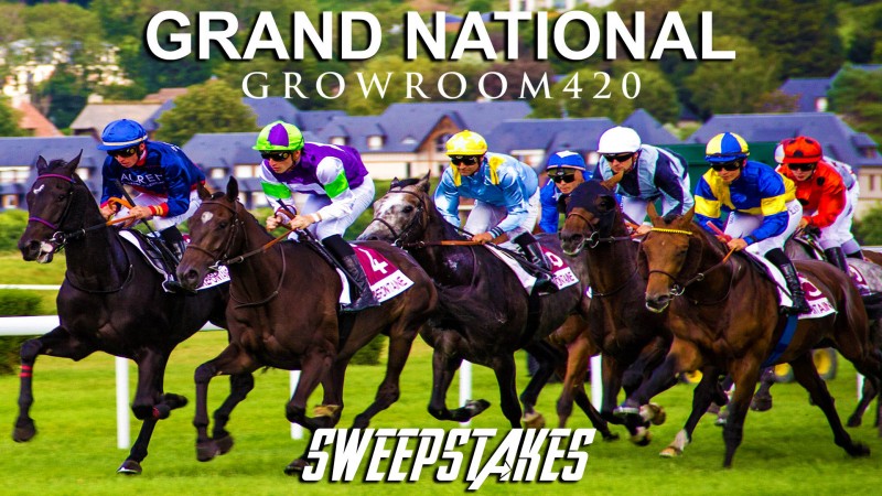 mn grand national 2