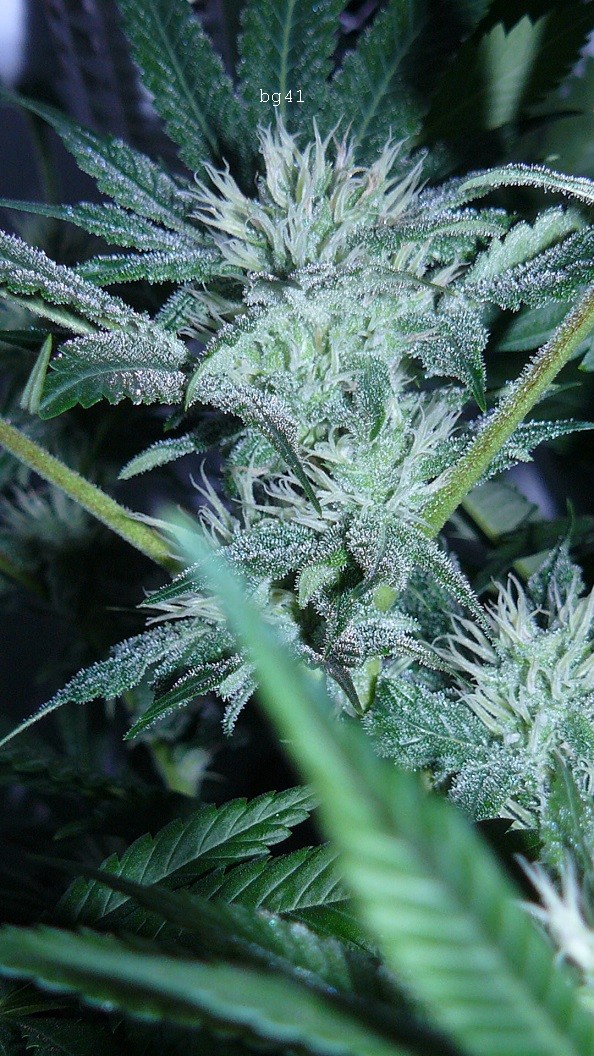 drobes 07 04 22 004
