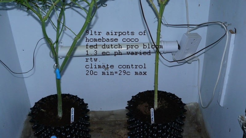 drobes 07 04 22 025