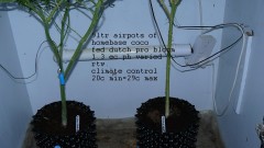 drobes 07 04 22 025