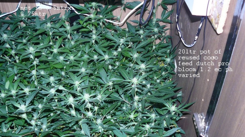 drobes 07 04 22 027