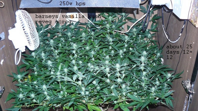 drobes 10 4 22 014