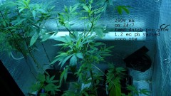 drobes 10 4 22 027