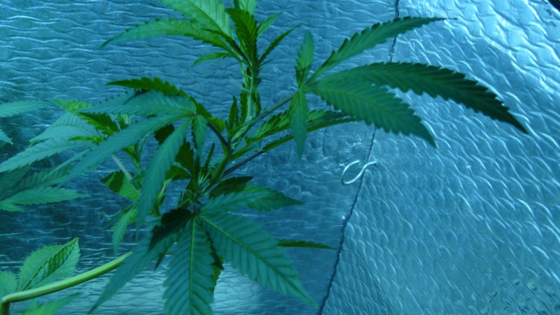 drobes 10 4 22 030